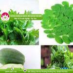 Ảnh đại diện bài viết
