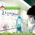 Ảnh đại diện bài viết