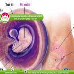 Ảnh đại diện bài viết