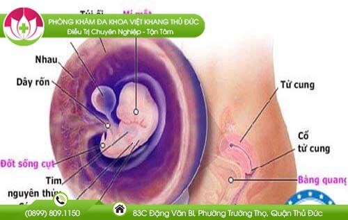 Ảnh đại diện bài viết