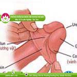 Ảnh đại diện bài viết