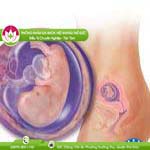 Ảnh đại diện bài viết