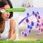 Ảnh đại diện bài viết