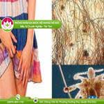 Ảnh đại diện bài viết