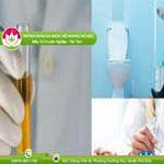 Ảnh đại diện bài viết