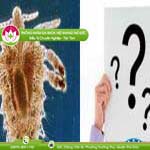 Ảnh đại diện bài viết