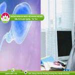 Ảnh đại diện bài viết