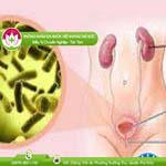 Ảnh đại diện bài viết