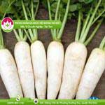 Ảnh đại diện bài viết