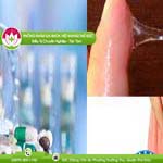 Ảnh đại diện bài viết