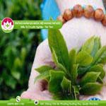 Ảnh đại diện bài viết