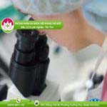 Ảnh đại diện bài viết