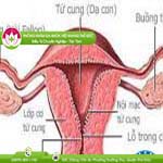 Ảnh đại diện bài viết