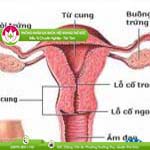 Ảnh đại diện bài viết
