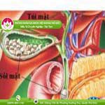 Ảnh đại diện bài viết