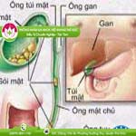 Ảnh đại diện bài viết
