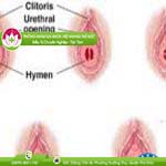Ảnh đại diện bài viết