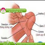 Ảnh đại diện bài viết