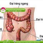 Ảnh đại diện bài viết